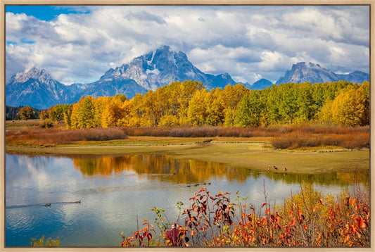 Changing Seasons
