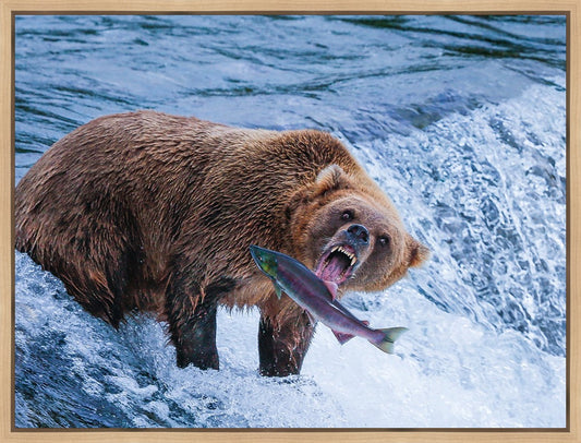 Catch of the Day