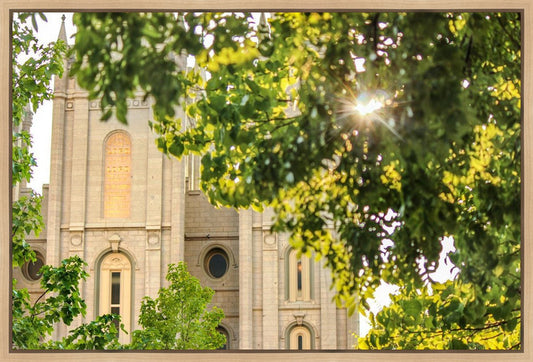 Salt Lake Brilliant Light Gallery Wrap