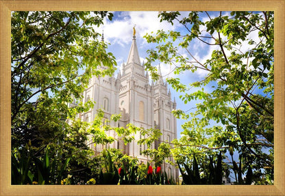 Salt Lake Glimpse of Eternity