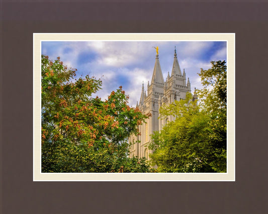 Salt Lake City Temple Autumn Leaves