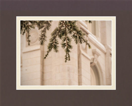 Salt Lake City Temple Even The Smallest Details