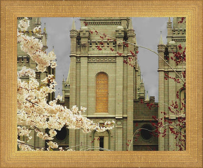 Salt Lake City Temple The Promise