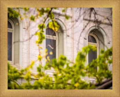 Salt Lake City Temple Windows Of Eternity
