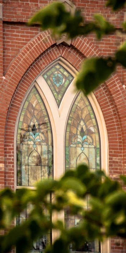 Provo City Center Temple Windows To His Love Gallery Wrap