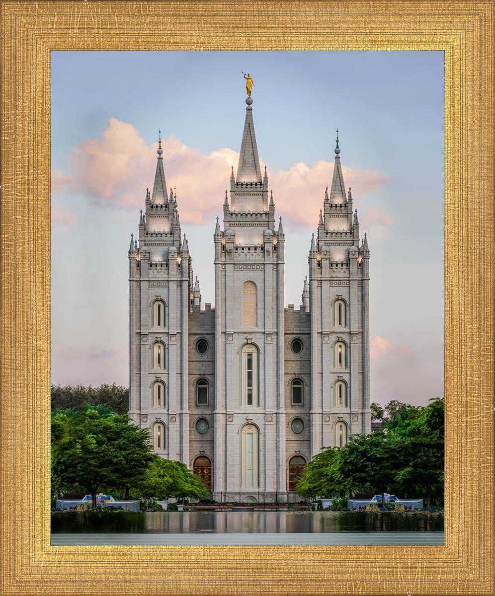 その他 Stand Ye in Holy Places: The Salt Lake Temple [DVD] Salt Lake City LDS Temple Stand Ye in Holy Places
