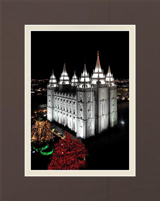 Salt Lake City Temple Wondrous Perspective