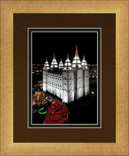 Salt Lake City Temple Wondrous Perspective