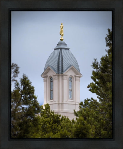 Cedar City Detail Gallery Wrap