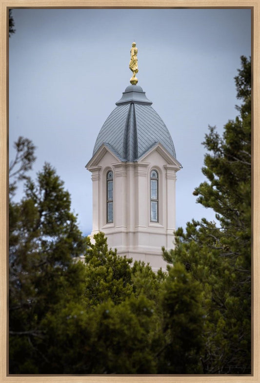 Cedar City Detail Gallery Wrap