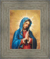 Our Rose of Tepeyac