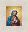 Our Rose of Tepeyac