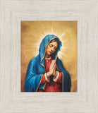 Our Rose of Tepeyac