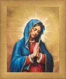 Our Rose of Tepeyac