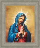 Our Rose of Tepeyac