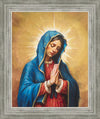 Our Rose of Tepeyac