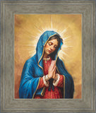 Our Rose of Tepeyac