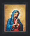 Our Rose of Tepeyac