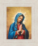 Our Rose of Tepeyac