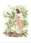 Watching Over His Vineyard