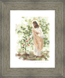 Watching Over His Vineyard