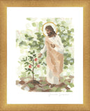 Watching Over His Vineyard