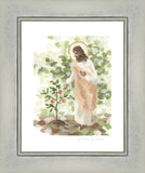 Watching Over His Vineyard