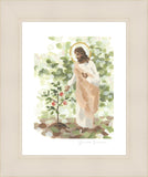 Watching Over His Vineyard