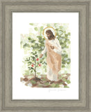 Watching Over His Vineyard