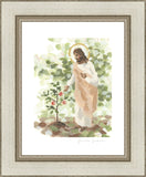 Watching Over His Vineyard