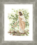 Watching Over His Vineyard