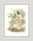 Watching Over His Vineyard