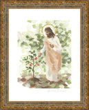 Watching Over His Vineyard