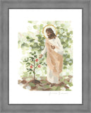 Watching Over His Vineyard
