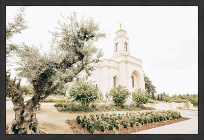 Sweet is The Work Feather River California Temple Large Wall Art