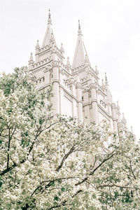Temple Art