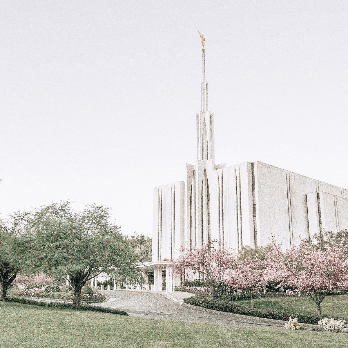 Sweet is The Work Seattle Washington Temple