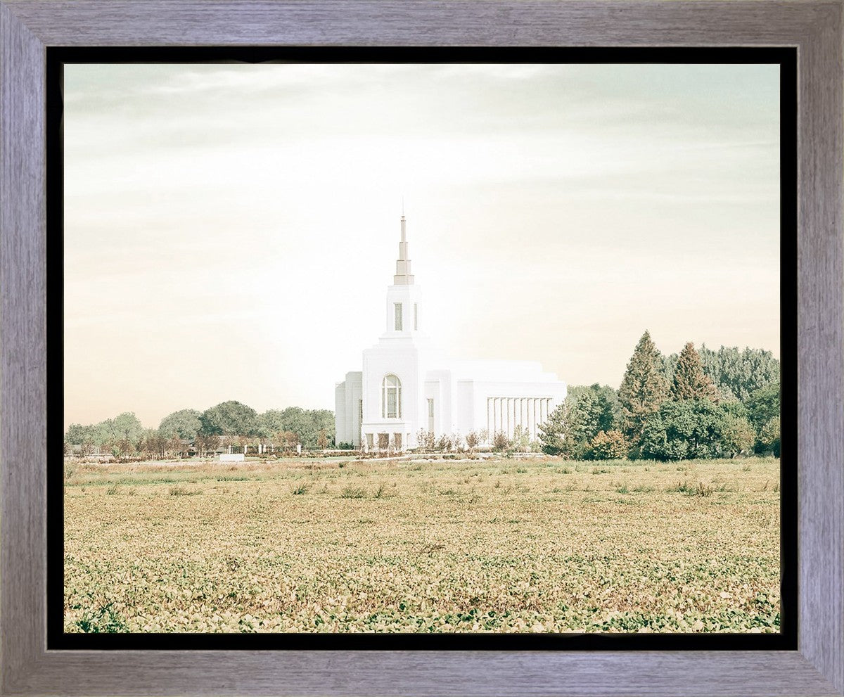 Burley Idaho Immaculate Embrace Pastel