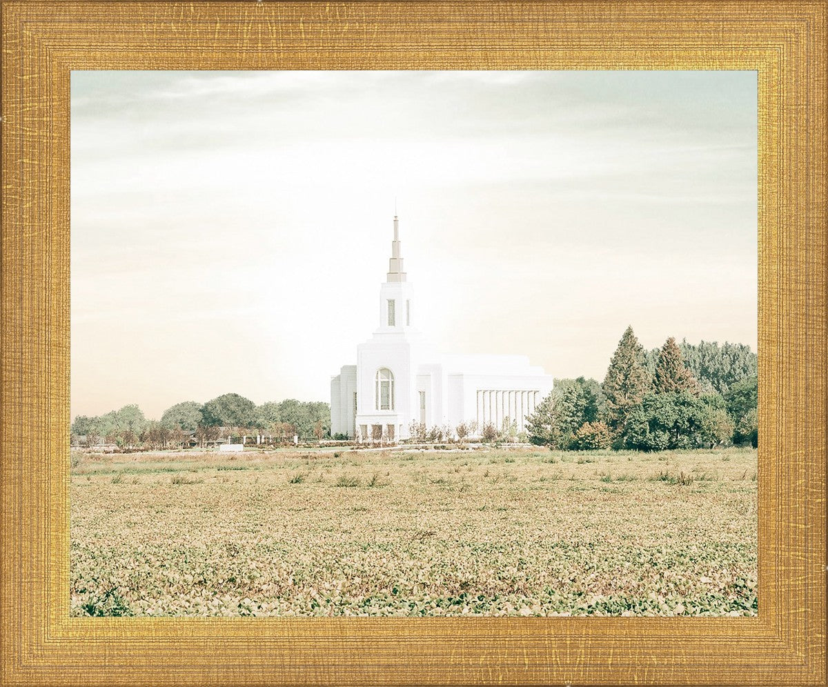 Burley Idaho Immaculate Embrace Pastel