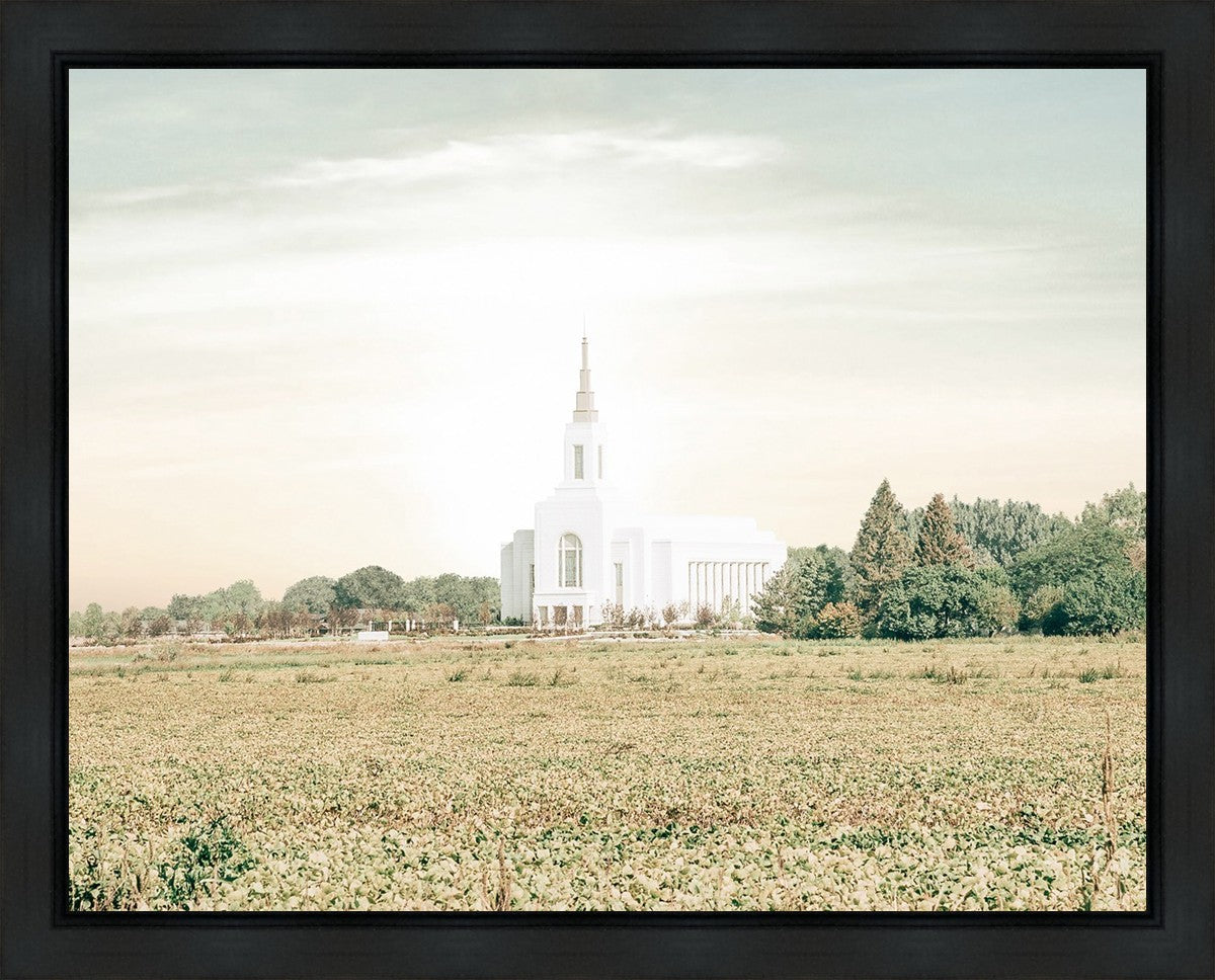 Burley Idaho Immaculate Embrace Pastel