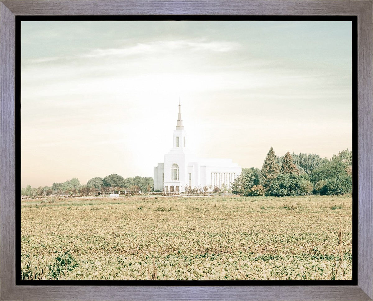 Burley Idaho Immaculate Embrace Pastel