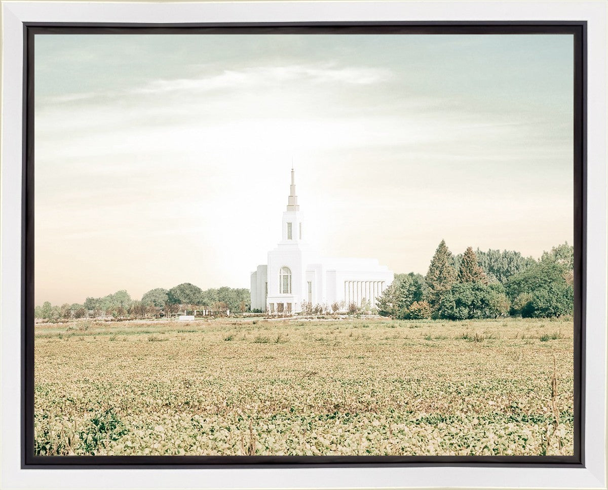 Burley Idaho Immaculate Embrace Pastel