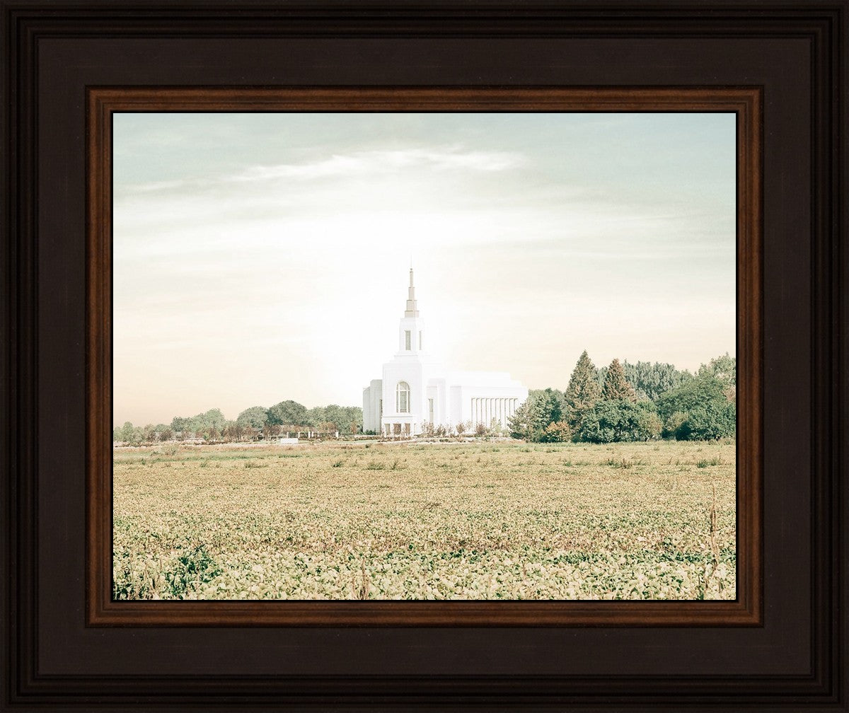 Burley Idaho Immaculate Embrace Pastel