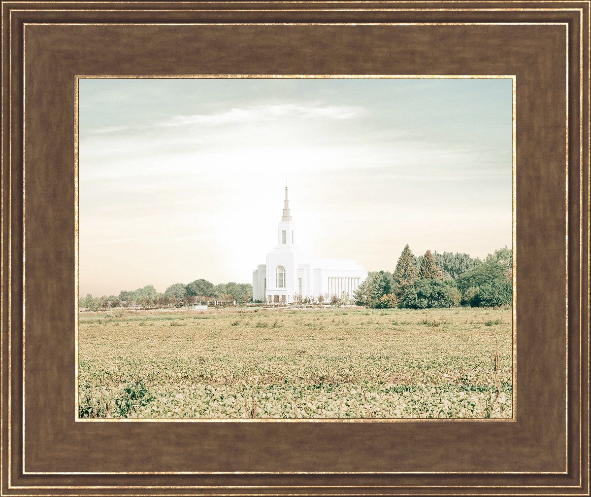 Burley Idaho Immaculate Embrace Pastel