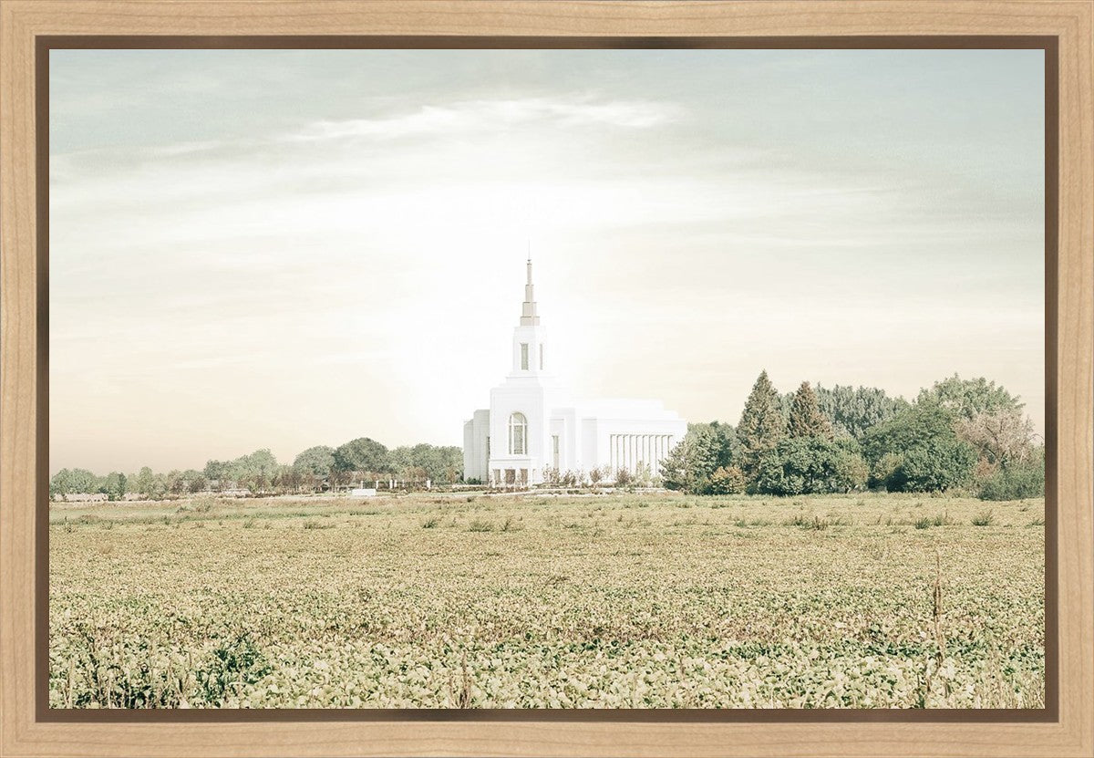 Burley Idaho Immaculate Embrace Pastel