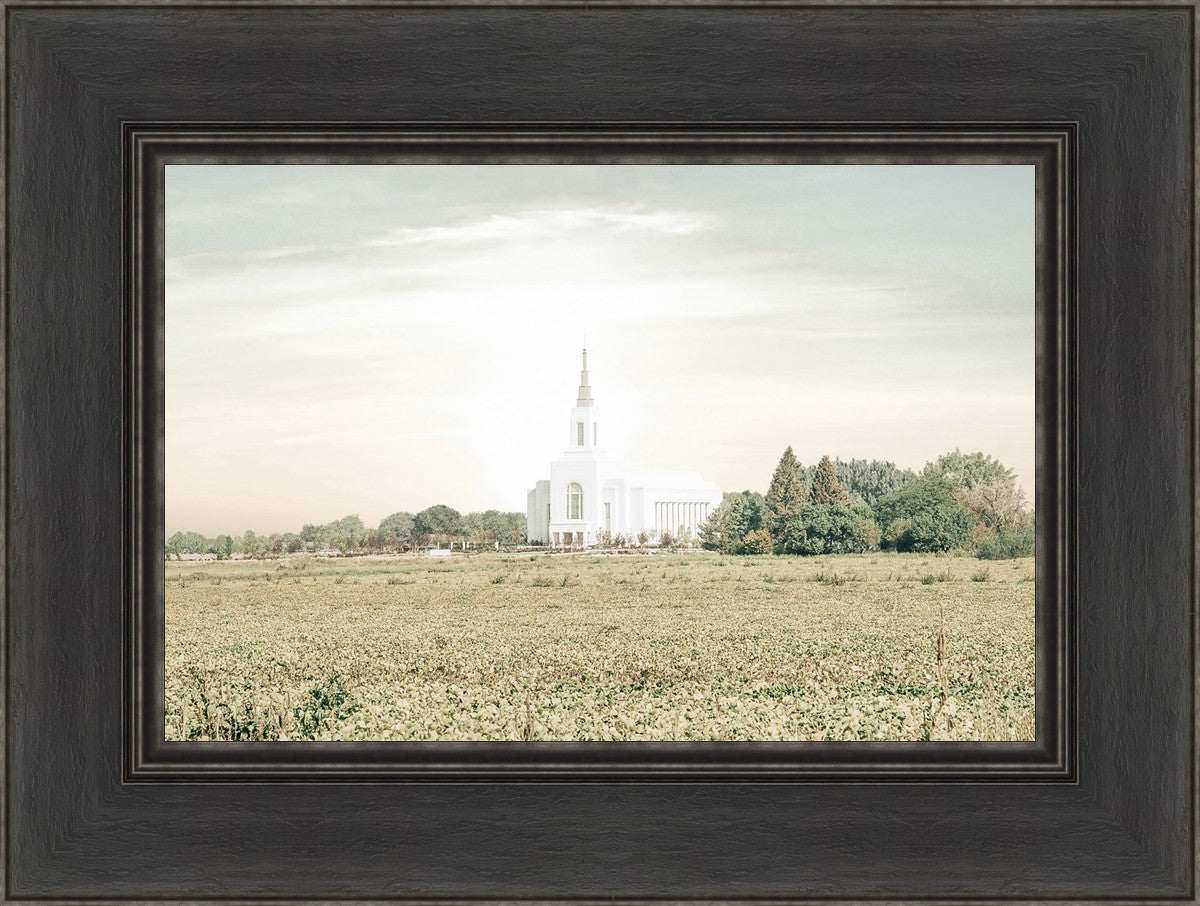 Burley Idaho Immaculate Embrace Pastel