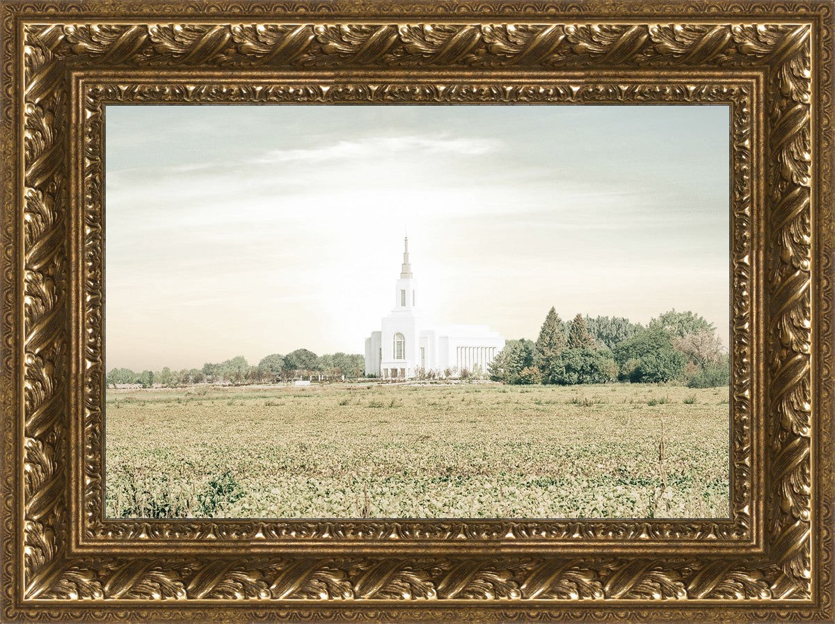 Burley Idaho Immaculate Embrace Pastel