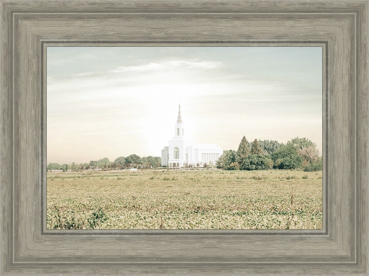 Burley Idaho Immaculate Embrace Pastel