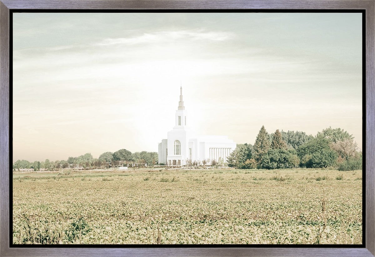 Burley Idaho Immaculate Embrace Pastel