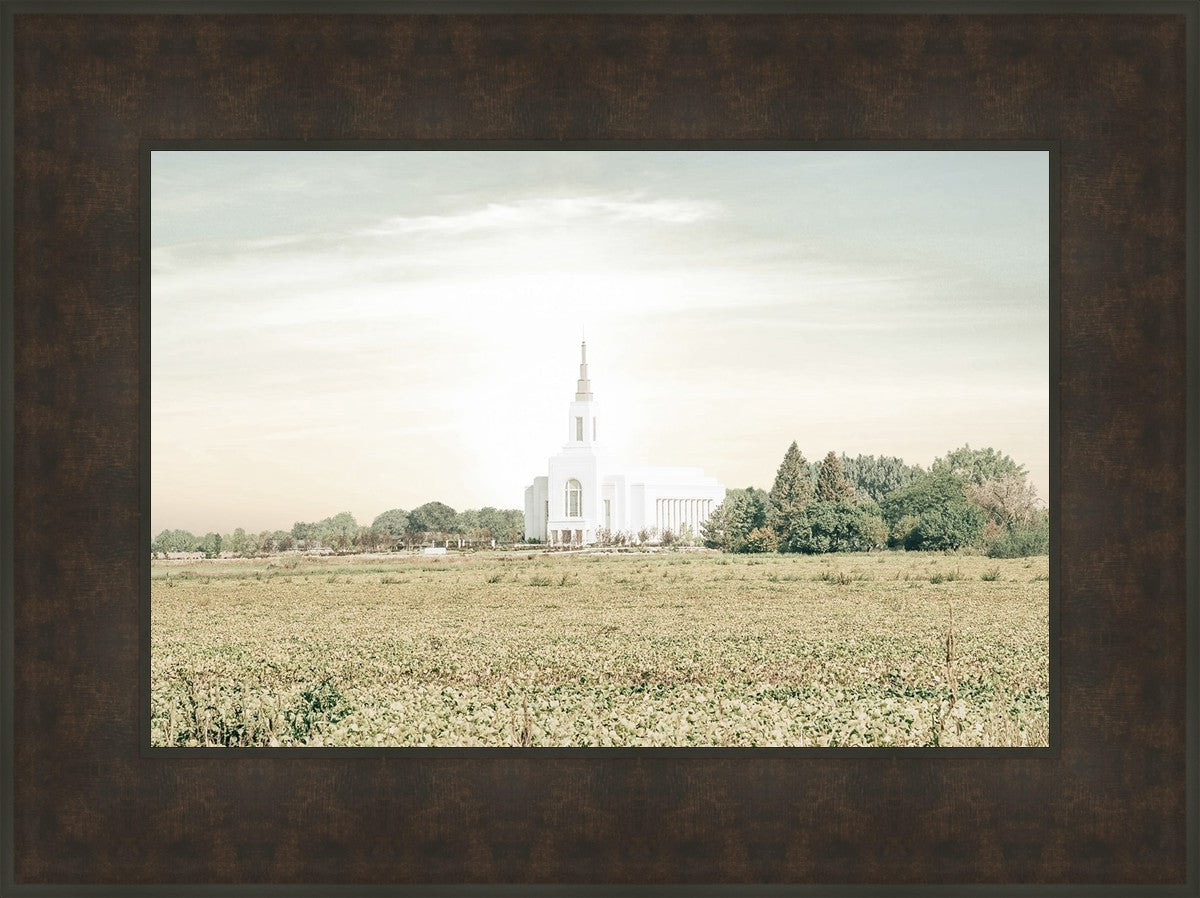 Burley Idaho Immaculate Embrace Pastel